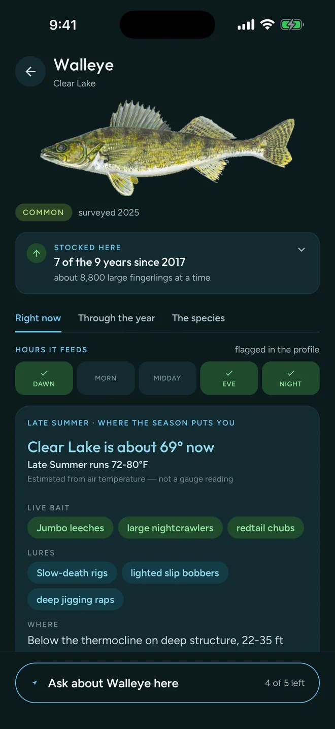 The walleye page for Clear Lake showing stocking history, the hours it feeds, and late-summer live bait, lures and holding depth